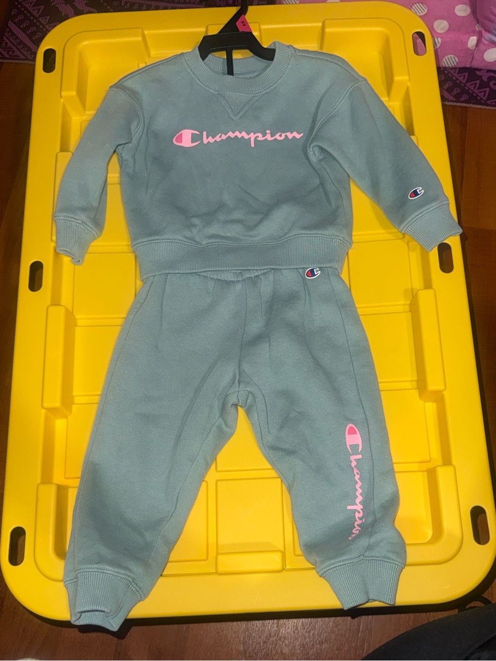 Champion Kids Sage Green Sweatshirt & Joggers Set with Pink Logo